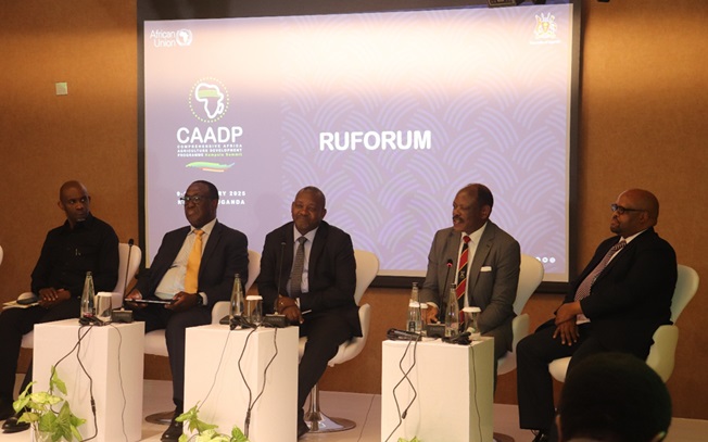 CAADP