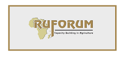 Contributors to Higher Education in Africa