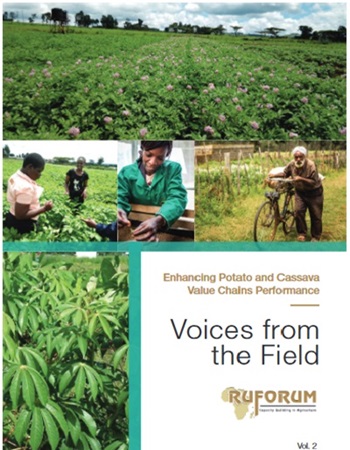 Cassava Value Chain