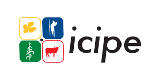 ICIPE