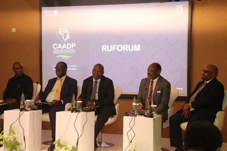 CAADP